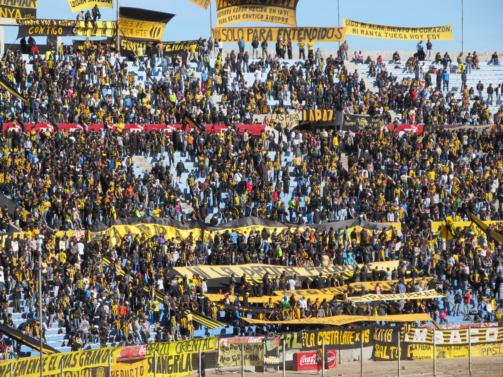 Penarol Fans, Centenario